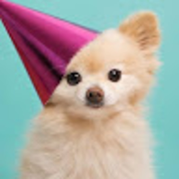 Meet your Posher, A - Picture 1 of 1